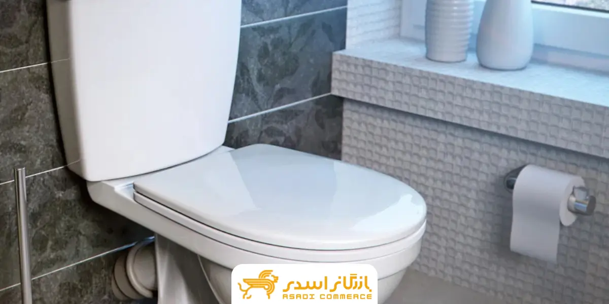 توالت_فرنگی_زمینی